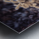 Exploring Sylvan Lake: Tiny Yellow Pine Impression metal