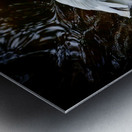 Florida Serenity: A Pelican Making Soft Waves Metal print