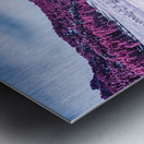 Chautauqua Chronicles: Purple Majesty Metal print