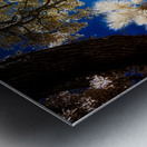 Whispers of Light: Saint Simons Lighthouse Enchantment Metal print