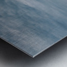 Whispers of Light: Unveiling Secrets on Manteo Metal print