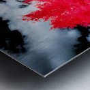 Spiritual Splendor: Exploring the Ghost Town of Marysville Montana Impression metal