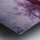 Timeless Charm: Exploring the Serene Old Wooden Barn Metal print