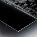 Shadows of the Earth: Silhouetted Sentinels Metal print