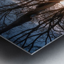 Stand Together Move Forward: North Carolina at Gettysburg Metal print