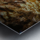 Ocala Secret: Infrared Curve Metal print