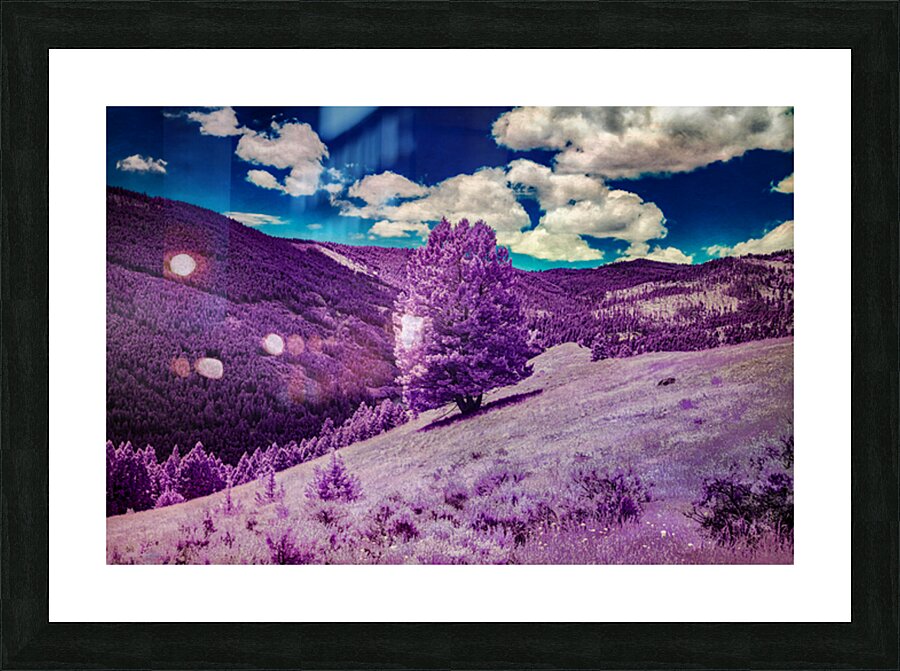 Enchanted Purple Haven: Marysville Montana Picture Frame print
