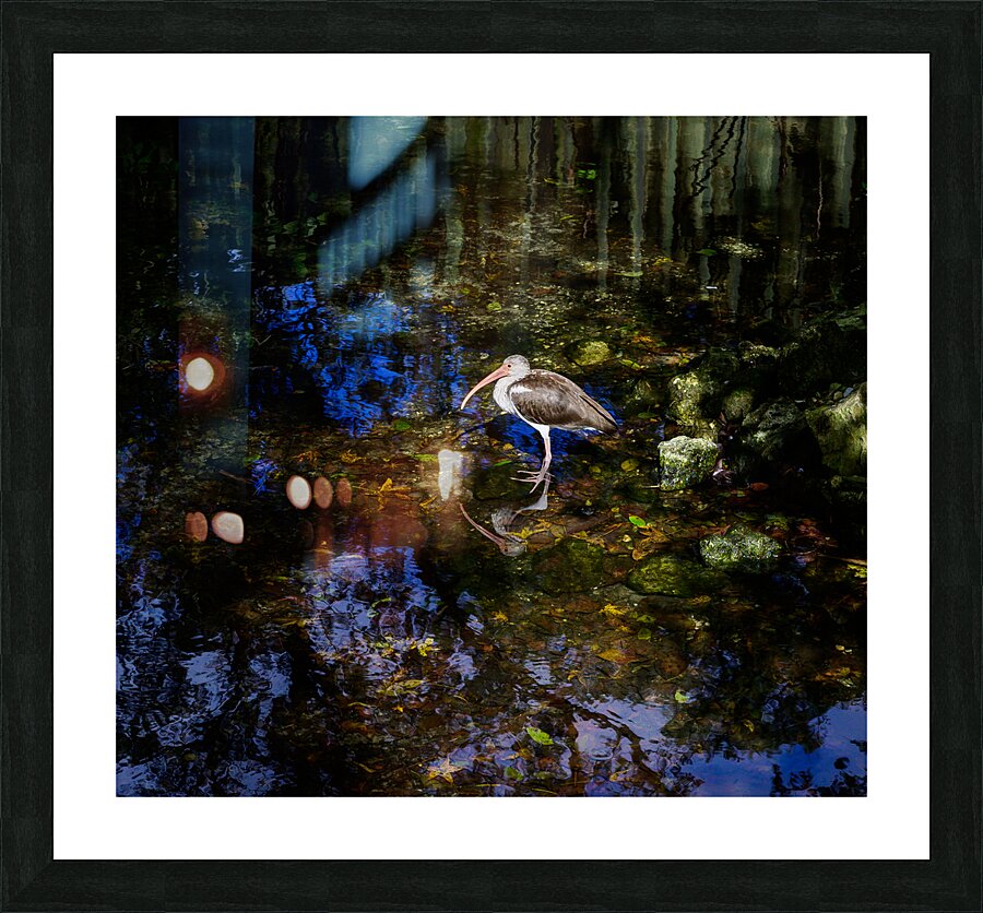 Songbirds and Sunshine: A Day of Birdwatching Bliss Picture Frame print