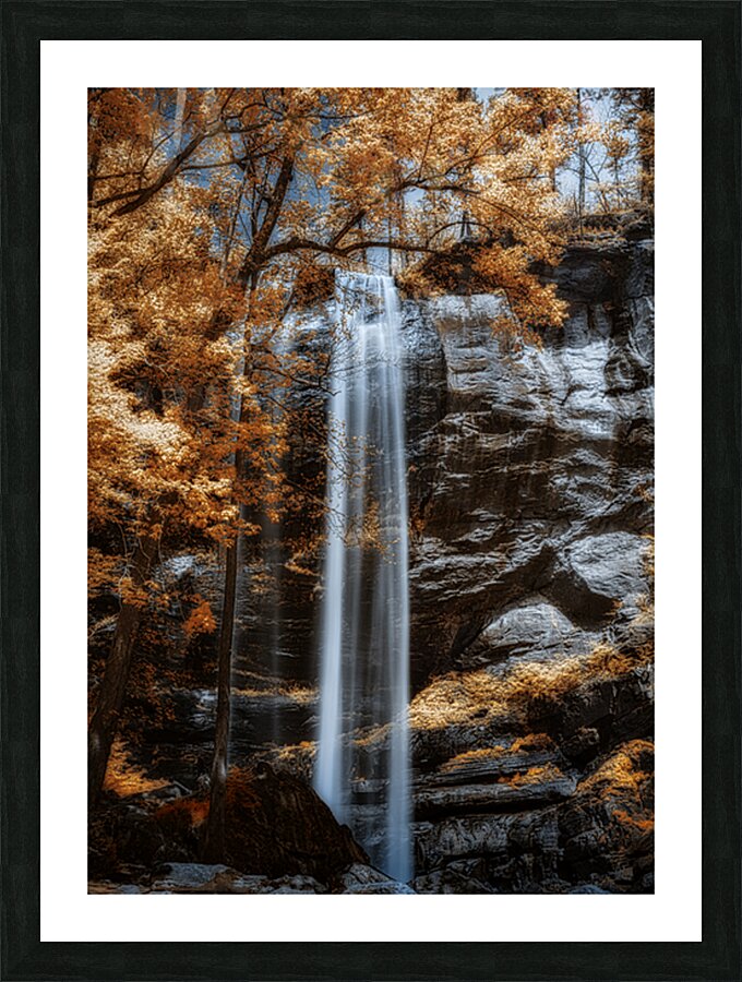 Tranquil Veil - Golden Falls Picture Frame print