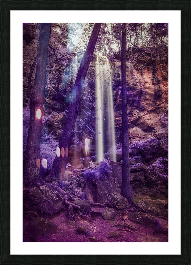 Violet Dream Impression et Cadre photo