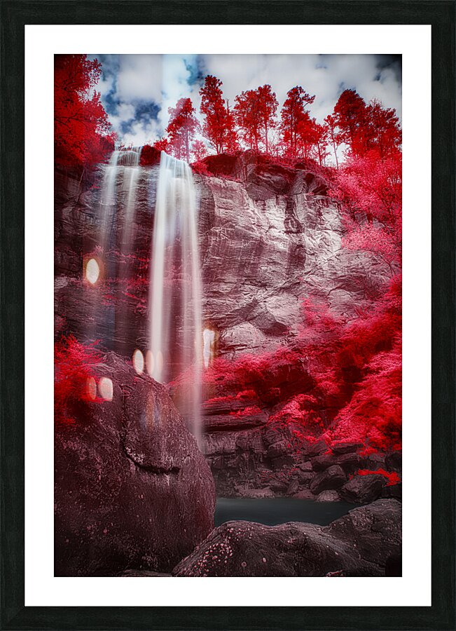 Scarlet Oasis Picture Frame print