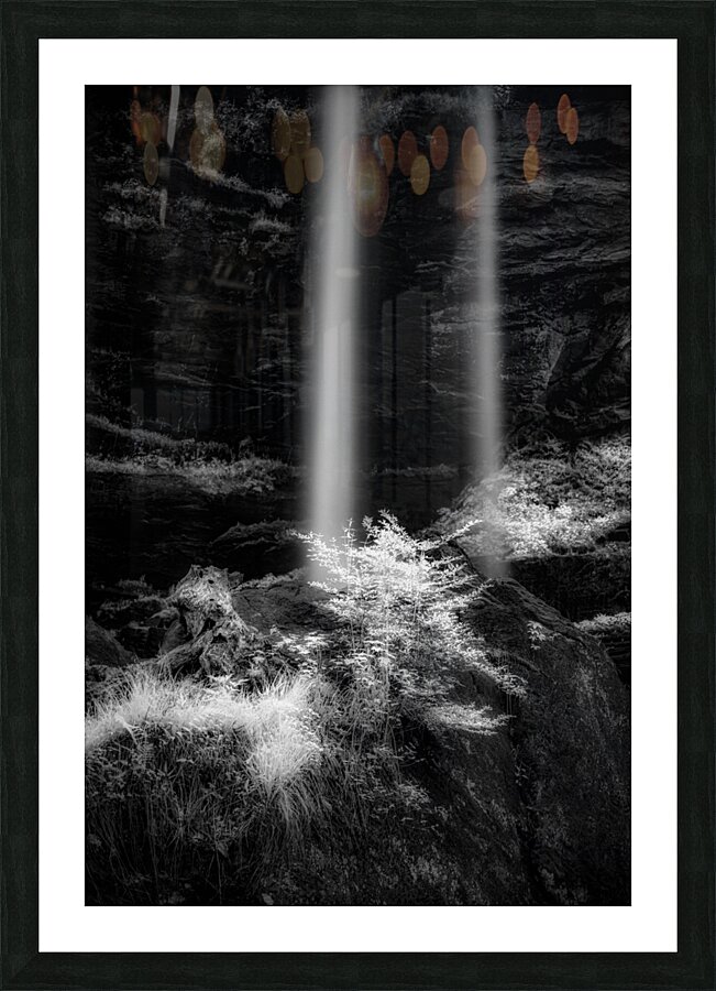 Shadows of Stillness Picture Frame print