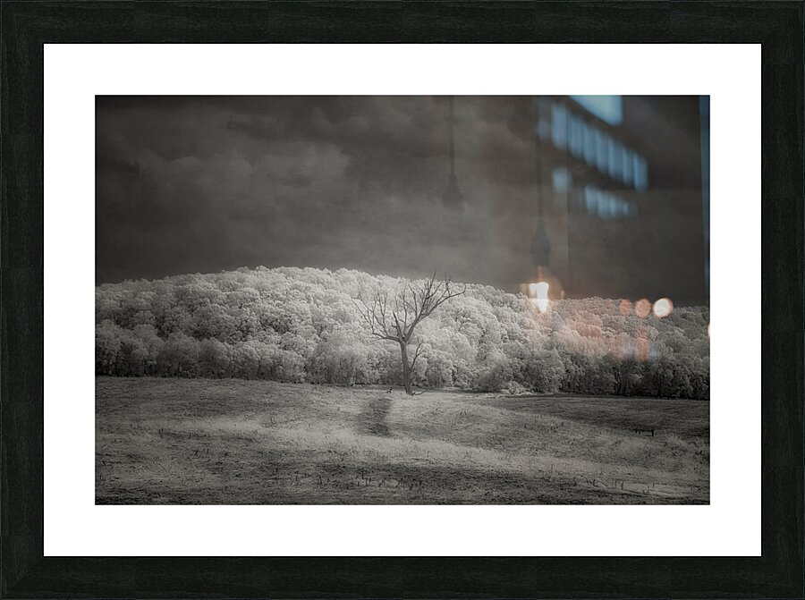 Luminous Isolation Picture Frame print
