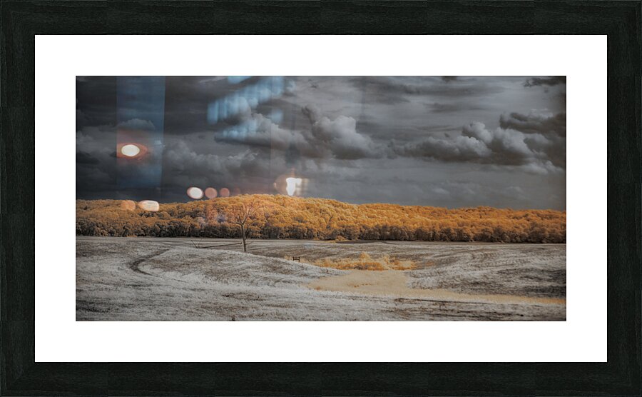 Fields of Surreality Picture Frame print