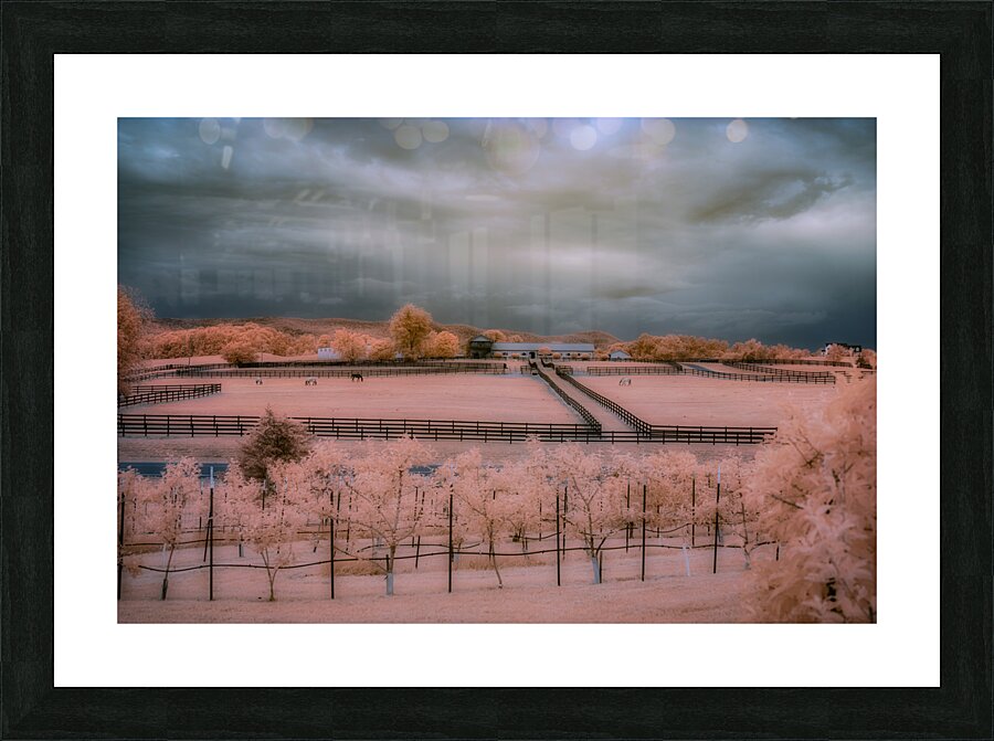 Surreal Ranchscape Picture Frame print