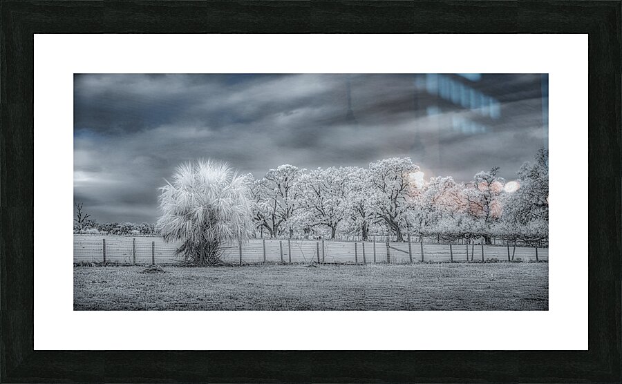 Glowing Presence Picture Frame print