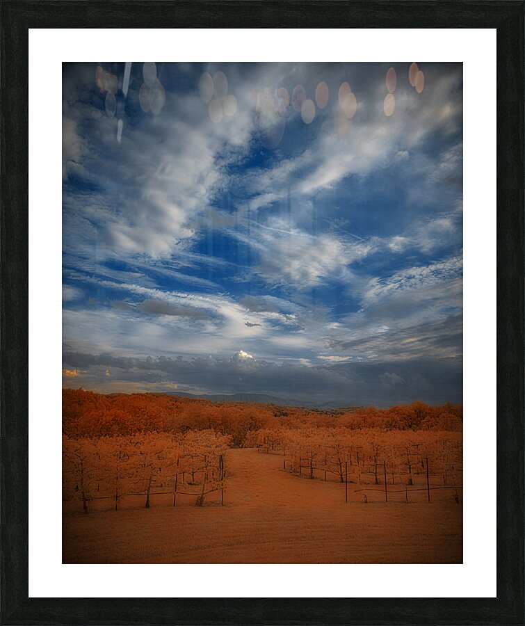 Mystical Arboretum Picture Frame print