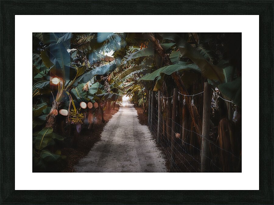Banana Canopy Secrets Picture Frame print