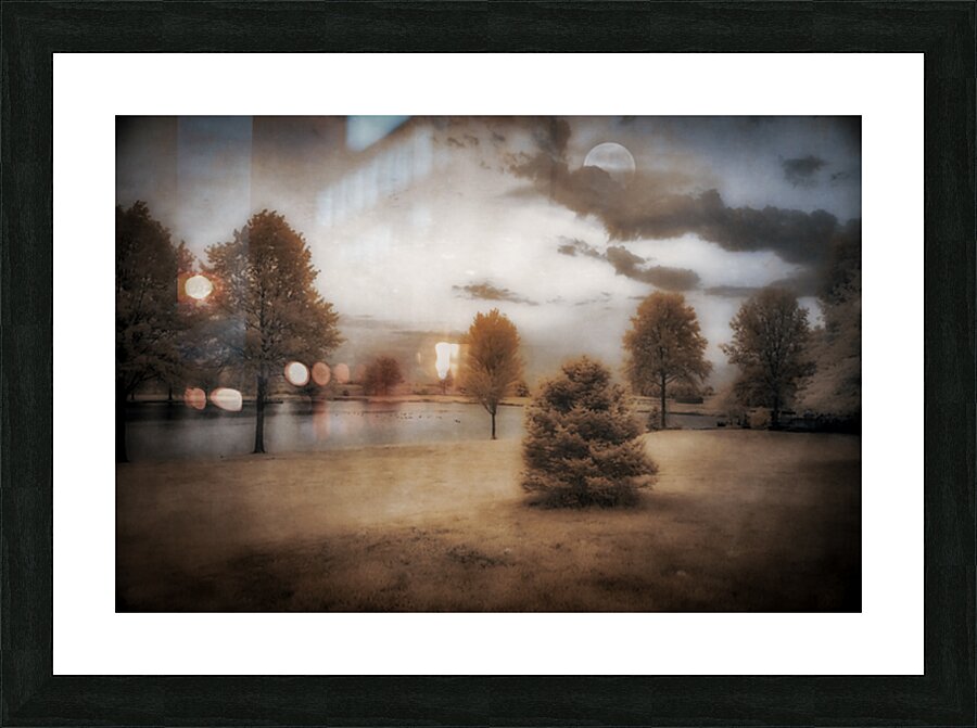 Moonlight Dreaming by the Lake  Picture Frame print