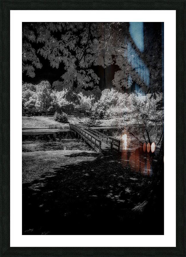 Bridge of Ephemeral Elegance Impression et Cadre photo