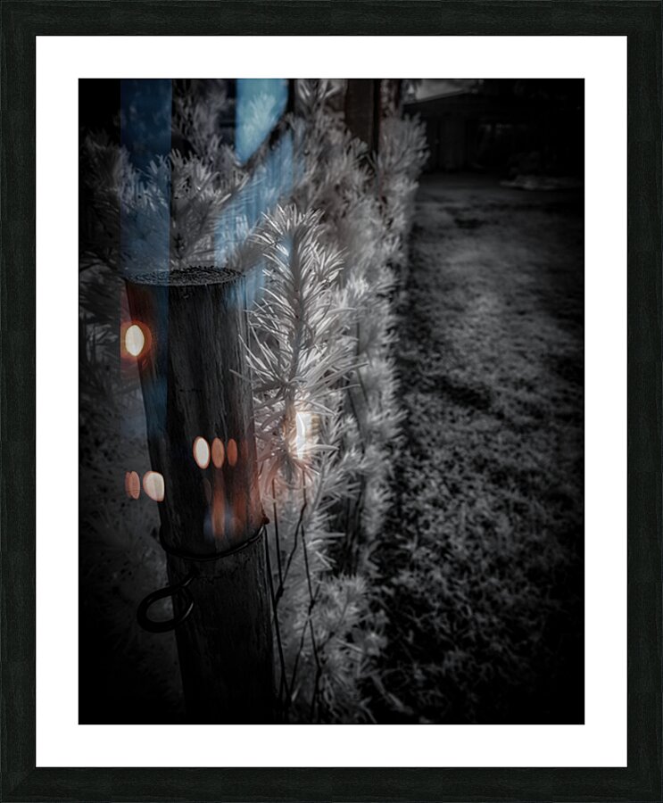 Luminous Intricacy Impression et Cadre photo