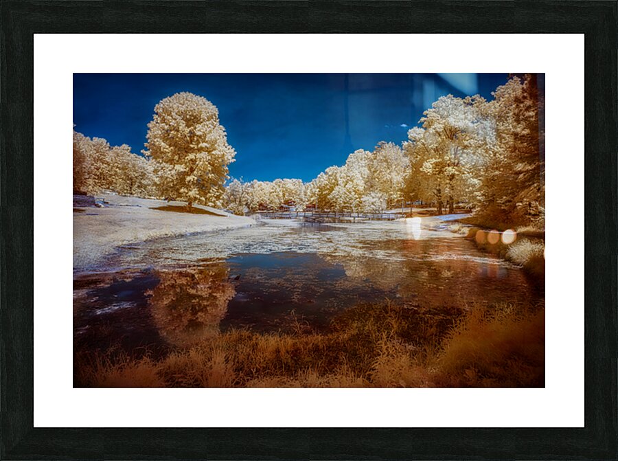 Dreamscape Reflections at Forest Lake Picture Frame print