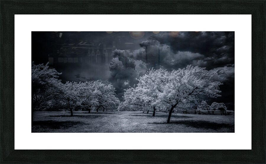 Illumination in Turmoil Picture Frame print