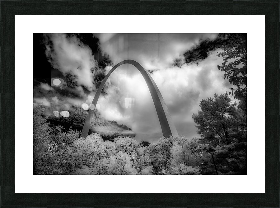 Infinite Curves in Saint Louis Picture Frame print