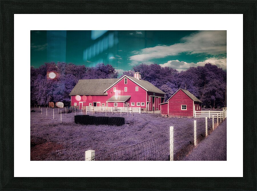 Crimson Haven in a Purple Dream Picture Frame print