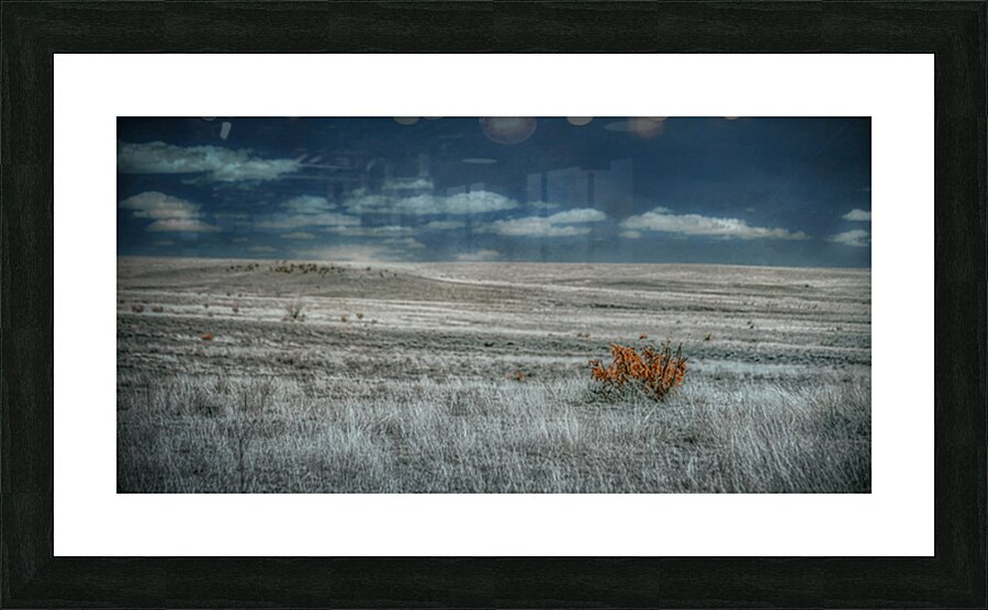 Solitary Flame Under Azure Canopy Picture Frame print