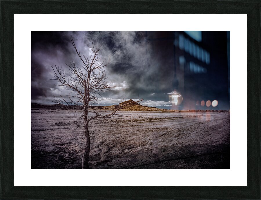 Realm of the Unknown: Lone Tree Mount Picture Frame print