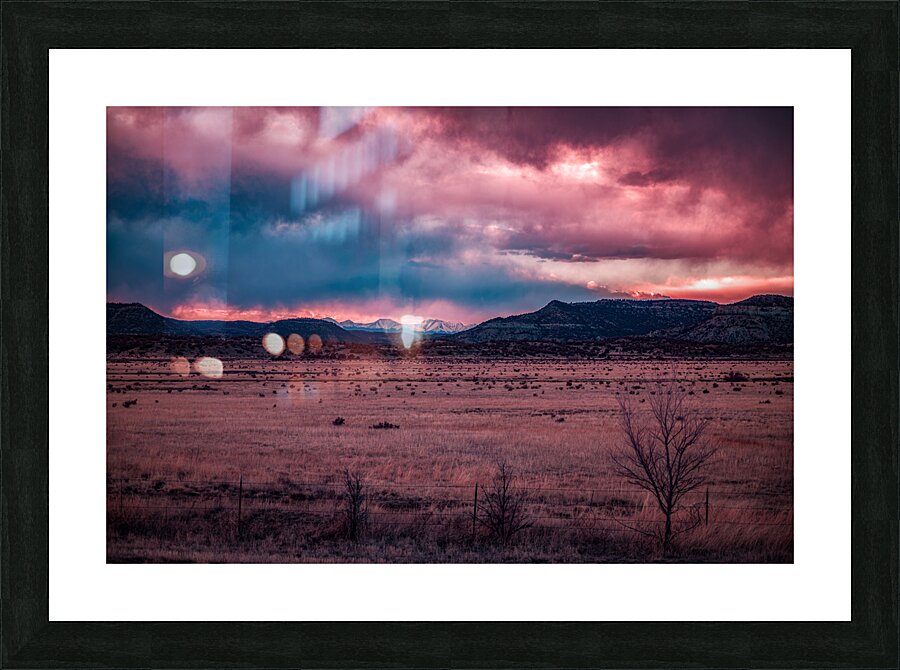 Solitary Harmony Under a Painted Sky Picture Frame print