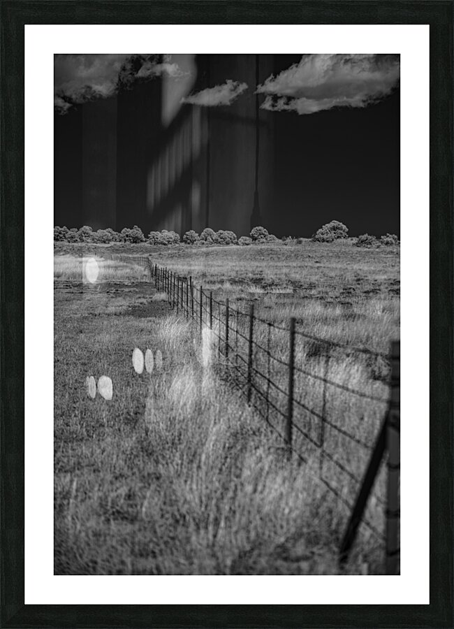 Fenceline Whisper in Monochrome Picture Frame print