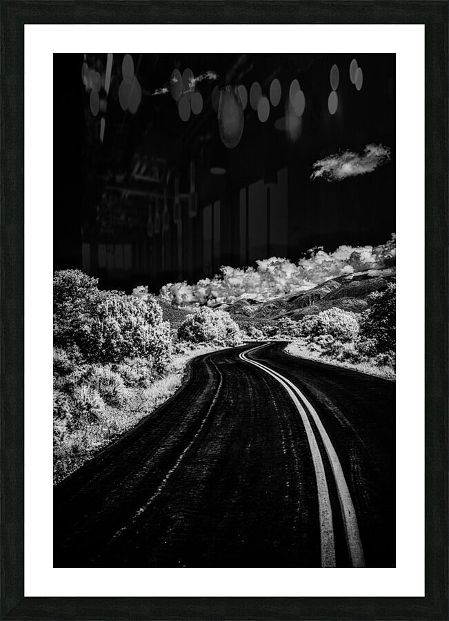 Symphony of Road and Foliage Picture Frame print