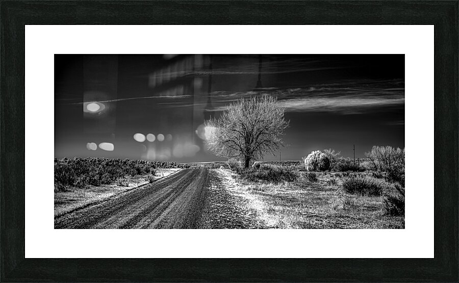 Ethereal encounters: a monochrome journey through Dawson NM Picture Frame print