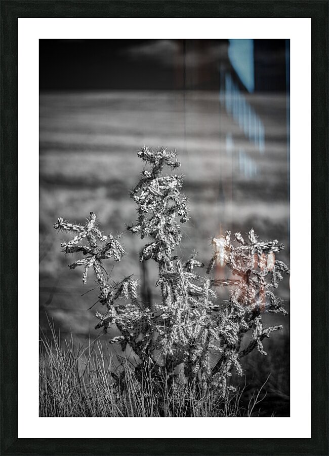 Solitude of Spine Picture Frame print