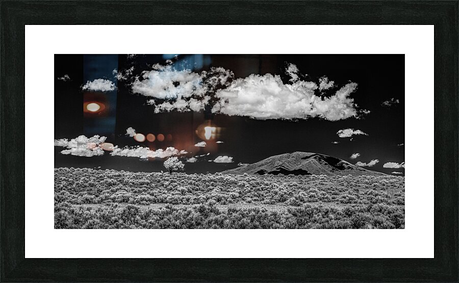 Contrasts of a Lone Guardian  Impression et Cadre photo