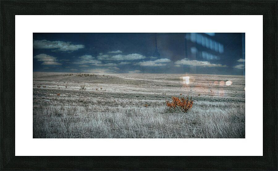 Solitary Flame Under Azure Canopy Picture Frame print