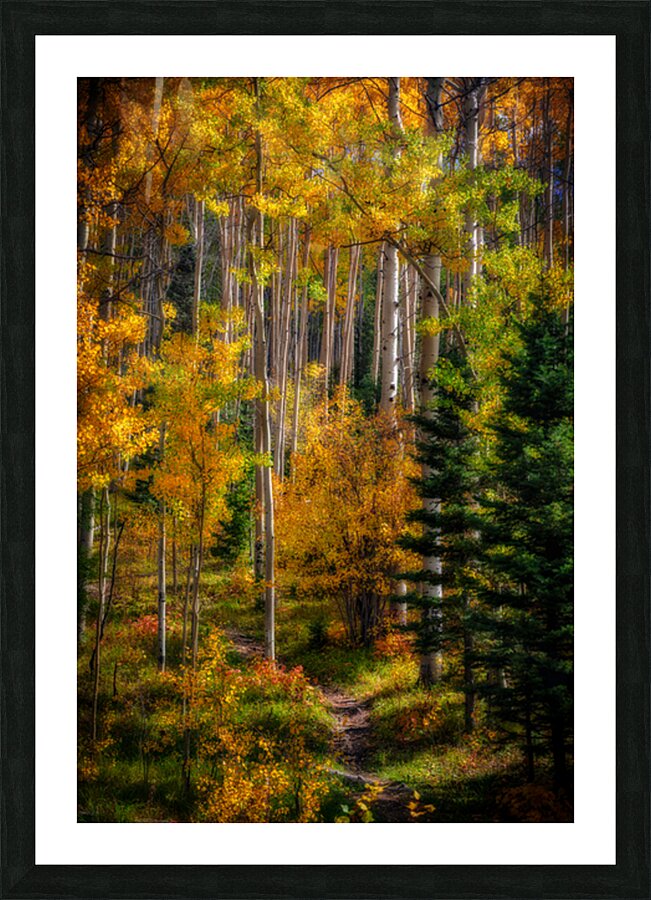 Elegy of Amber Leaves Picture Frame print