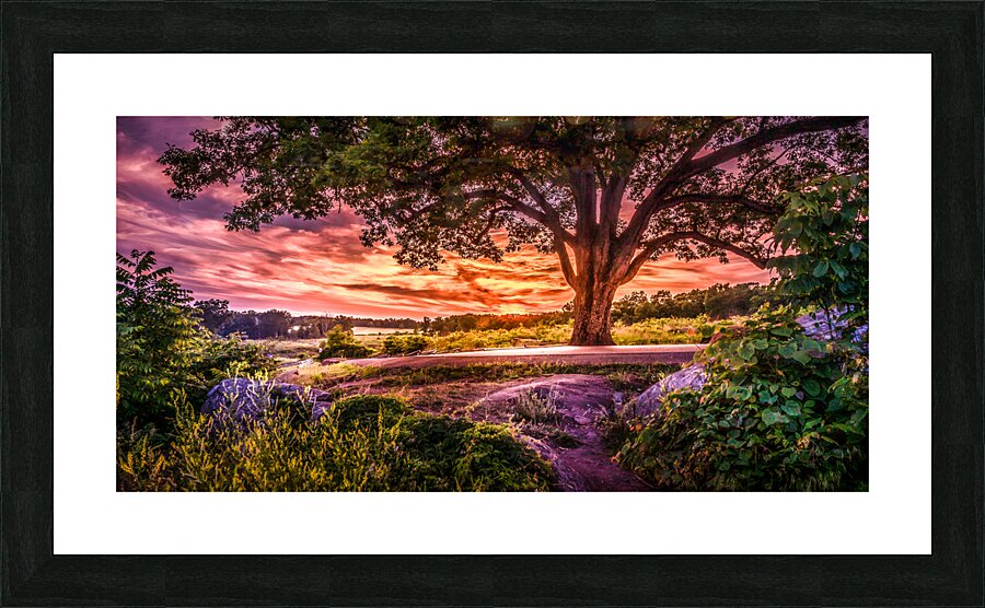 Fairytale Sunset Picture Frame print
