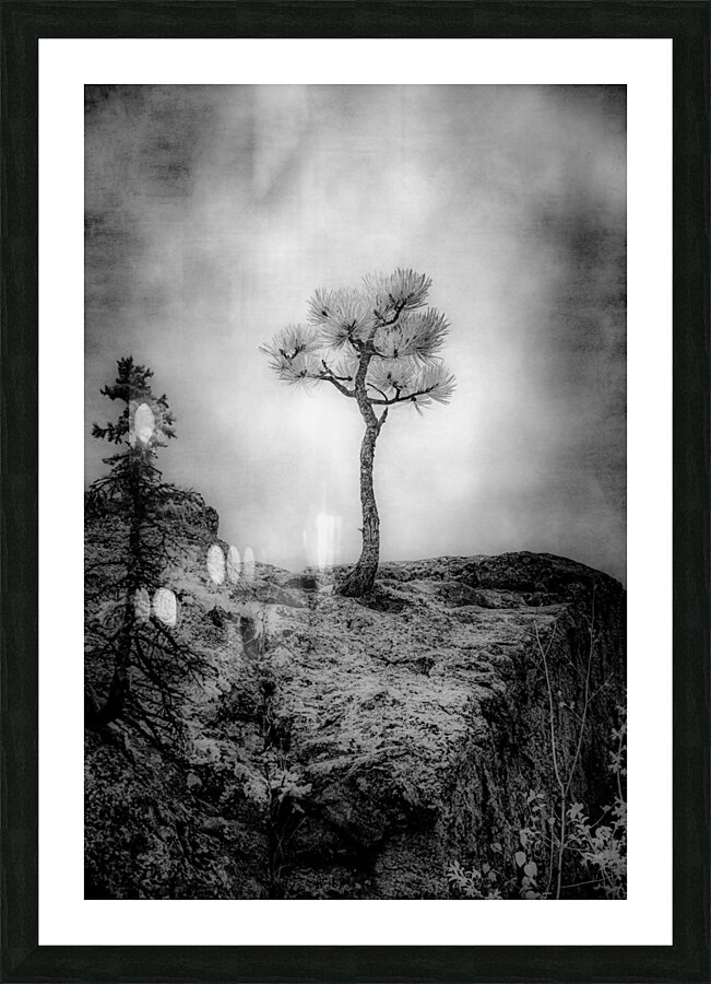 Serene Sylvan Lake: Alone on the Hill Picture Frame print