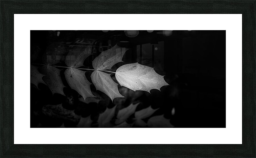 Spotlight on Natures Simplistic Beauty Picture Frame print