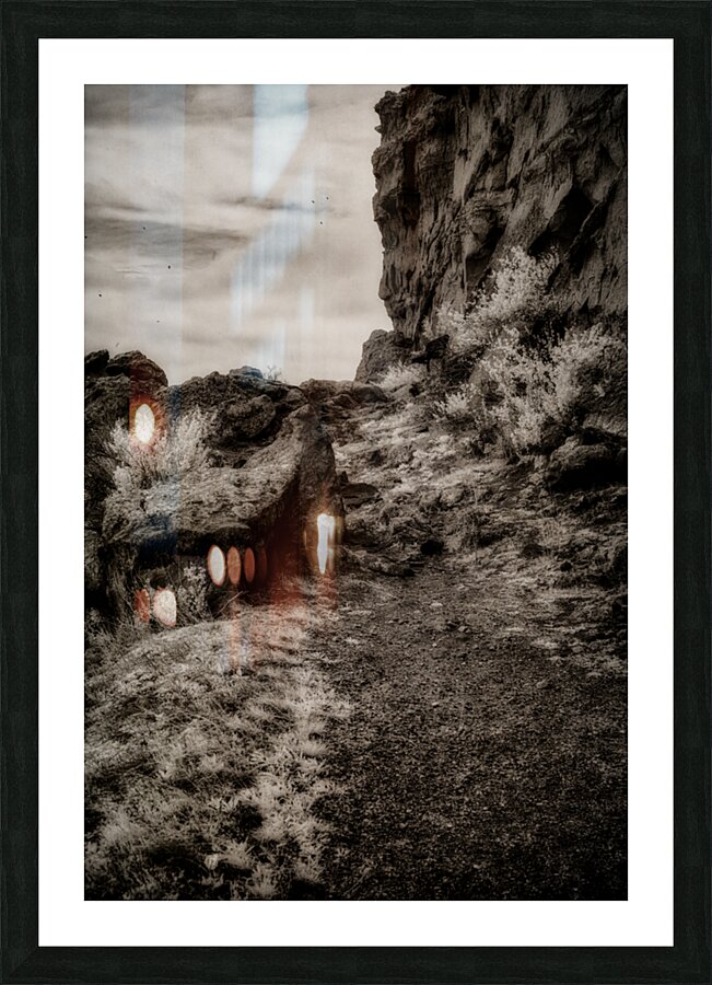 Silent Testaments of the Trail Picture Frame print