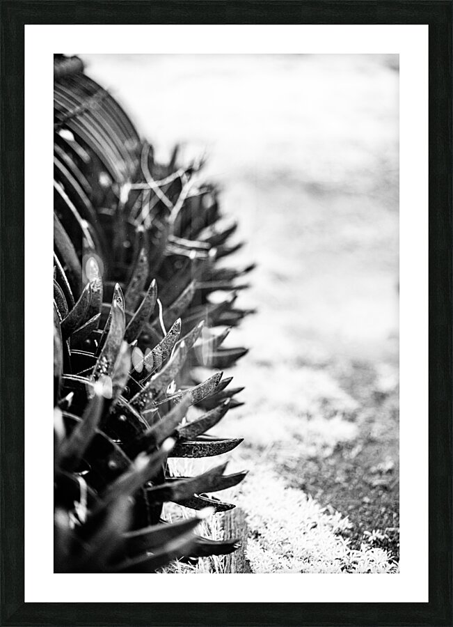 Rustic Relic - Nebraska Death Wheel Impression et Cadre photo