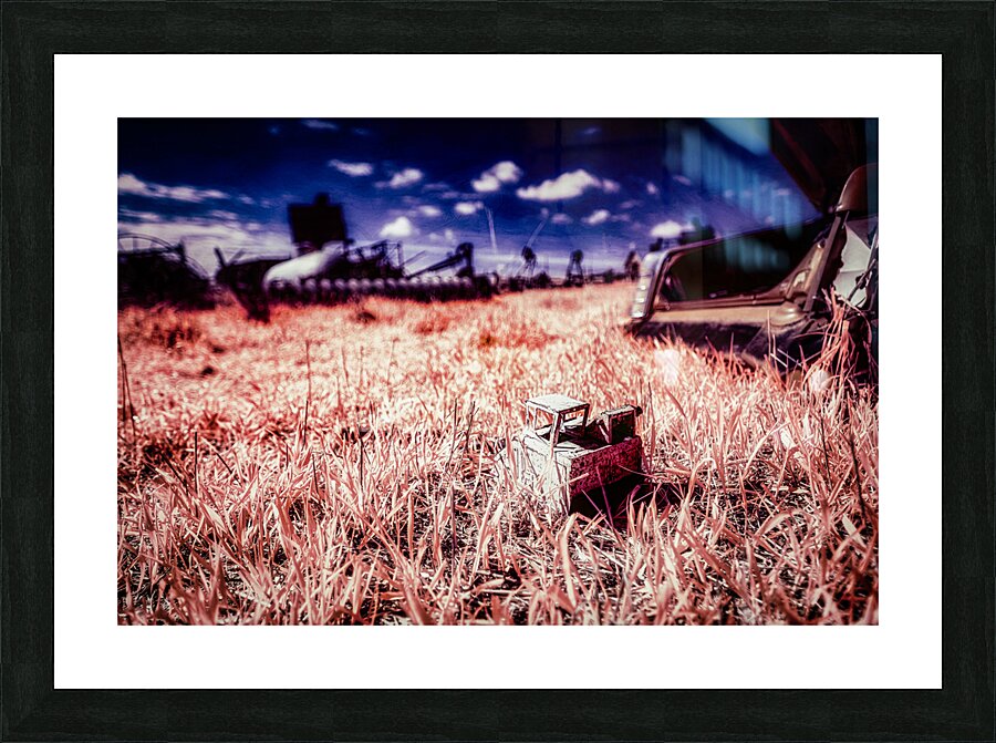 Rustic Relic - Kids Toy Remnant Picture Frame print