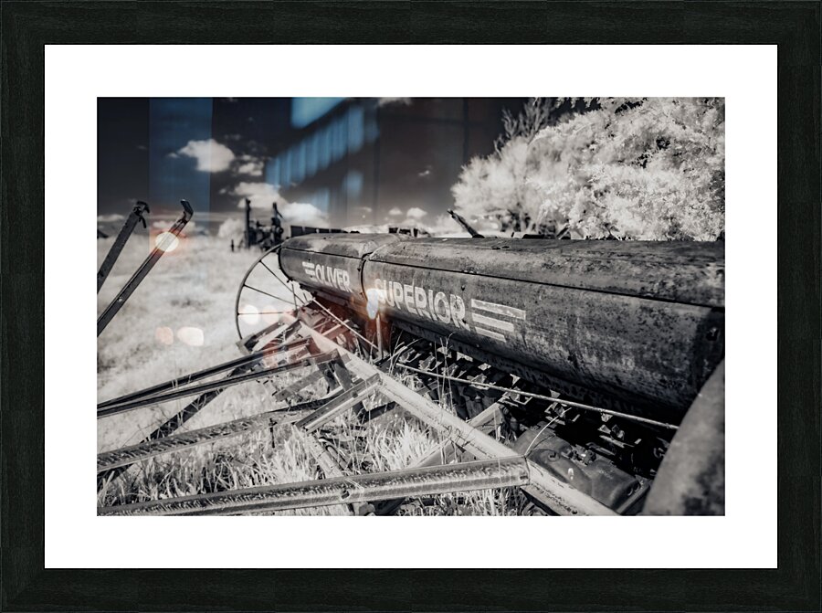 Rustic Relic - Oliver Superior Picture Frame print