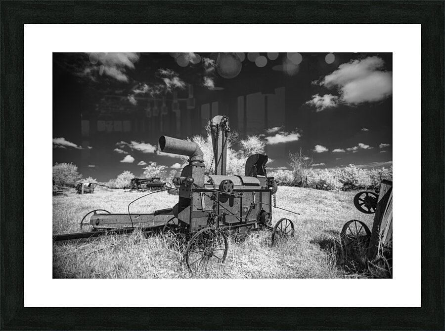 Rustic Relic - Arcaic Harvest Picture Frame print