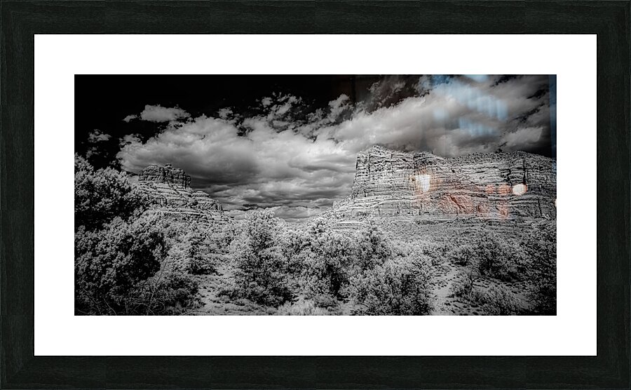 Desert Majesties in Monochrome Impression et Cadre photo