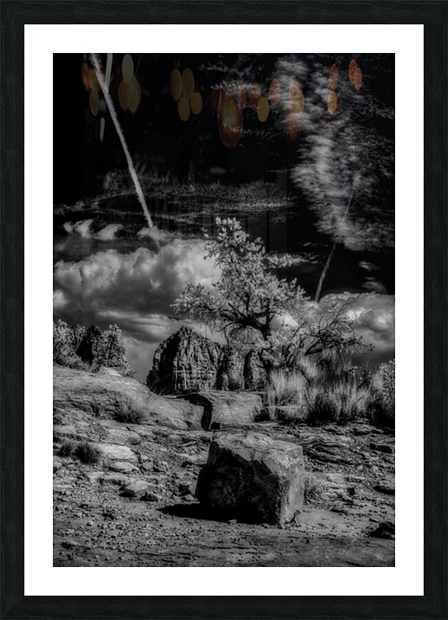 Boulder and Branch Under Silent Clouds Picture Frame print