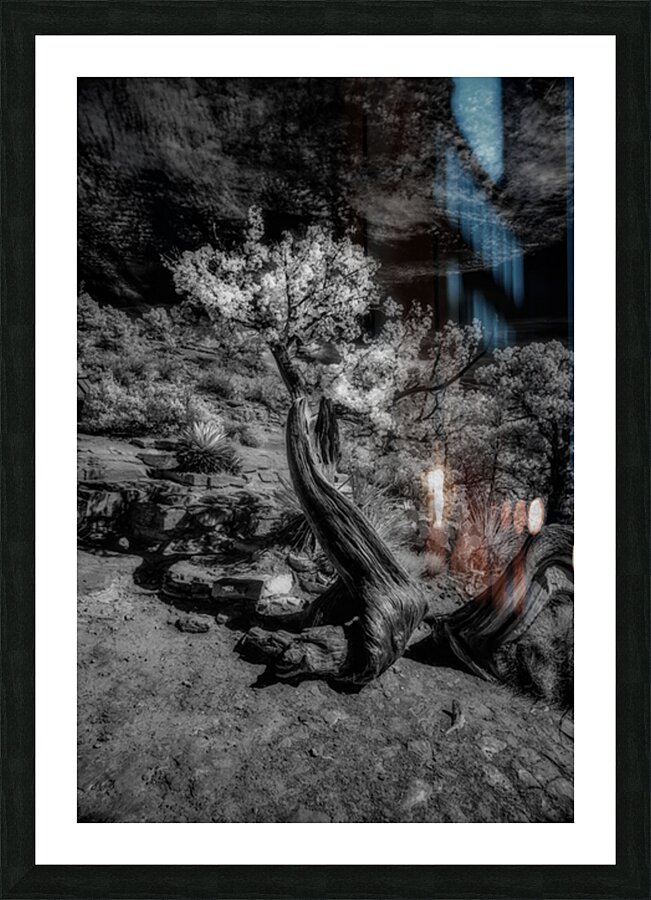 Twisted Elegance Beneath Stark Skies Picture Frame print